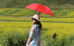 日本漫画之口工子全彩